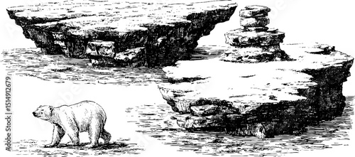 Engraved illustration of arctic ice floes with polar bear design for nature posters