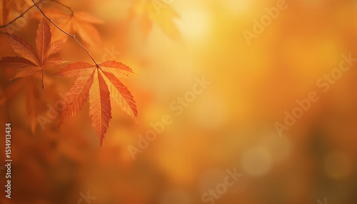 Autumn background with leaves