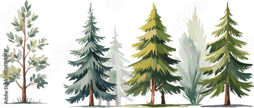 Evergreen pine tree vector collection in hand-drawn cartoon style, forest landscape elements for nature scene, woodland design, winter decor, or outdoor illustration use