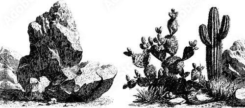 Engraved illustration set of desert dunes and dry landscape elements