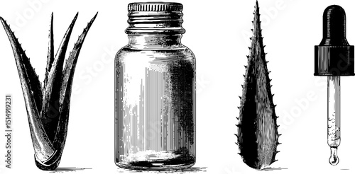 Engraved illustration of face serum bottle with aloe leaf and dropper design for skincare products