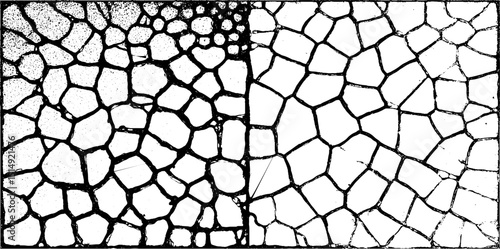 Engraved illustration featuring glossy enamel and crackle patterns for artistic design