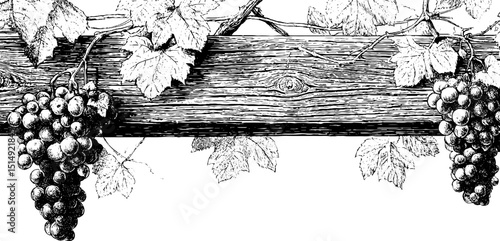 Vintage grape vines engraving on wood for rustic design and decor