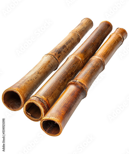 Bamboo tube on transparent background. Commonly used for storage or transport.