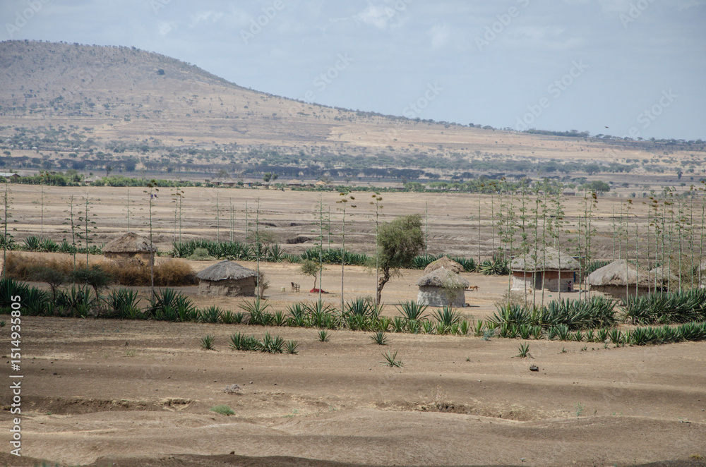 Fototapeta premium village en Tanzanie