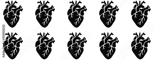 Anatomical heart vector silhouette icon set for medical, health, cardiology, anatomy, and biology illustrations


