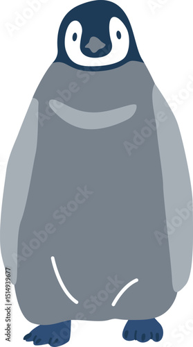 Adelie penguin living in Antarctica