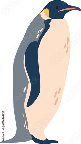 Emperor penguin flightless bird vector illustration