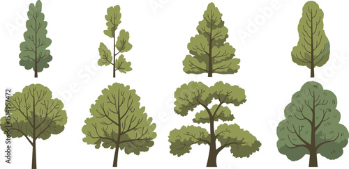 Vector set of cartoon style green trees with foliage, natural landscape elements, flat design tree icons for forest, garden, park, or environment themes