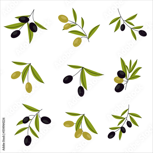Vector set of olive branches. Food illustration for poster design, menus, invitations and more. Flat design
