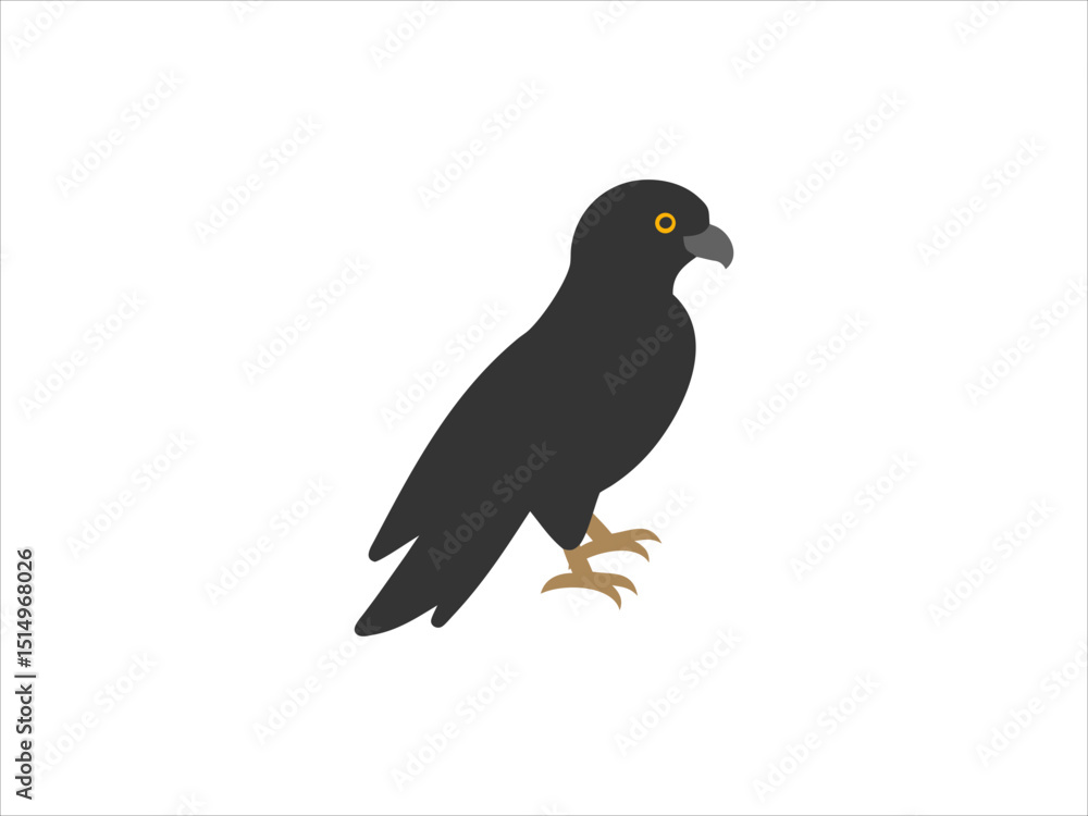 Fototapeta premium contrasting falcon bird logo facing each other.