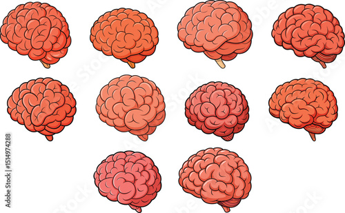 set of human brains vector illustration