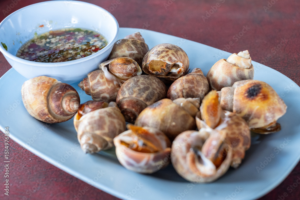 Delicious Grilled Sea Snails Delicious Grilled Sea Snails