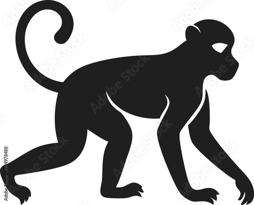 Black macaque silhouette wild monkey primate mammal asia isolated
