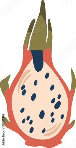 Dragonfruit pitaya tropical fruit vector illustration