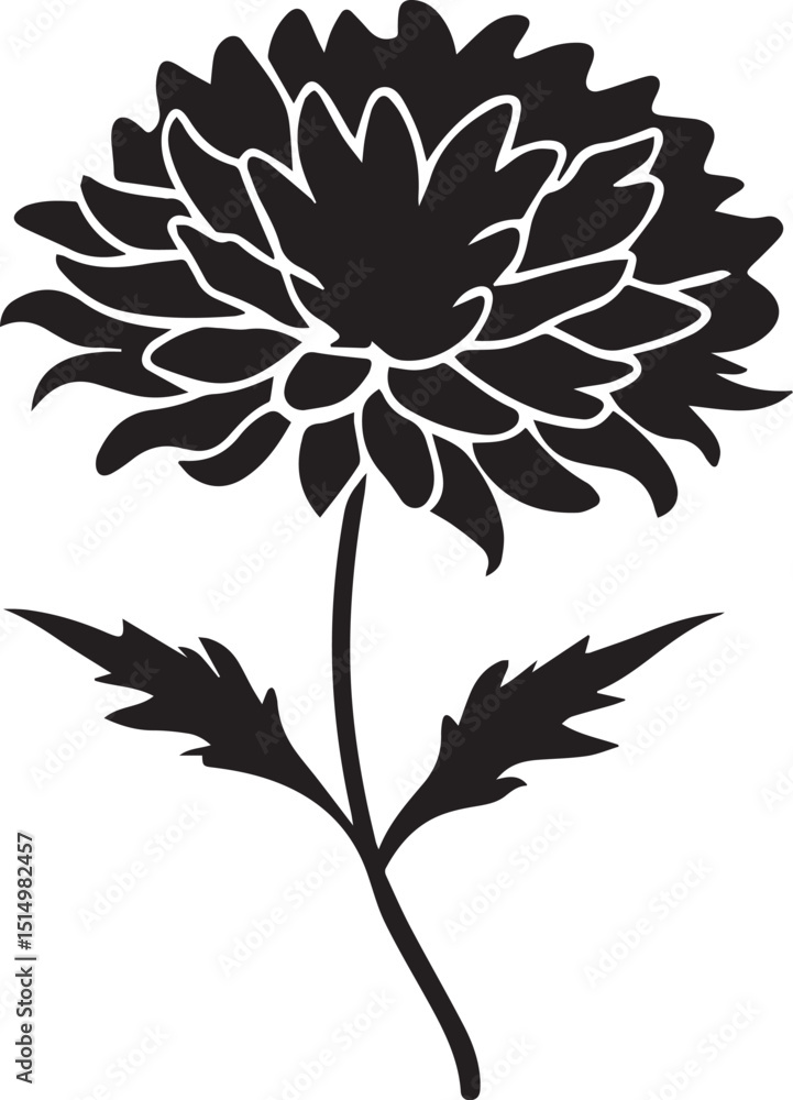 Fototapeta premium Marigold Flower Silhouette Top Down Round Petals