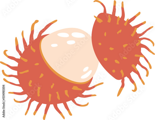Rambutan tropical fruit vector illustration