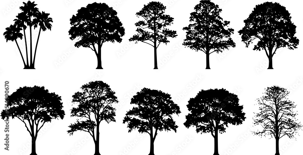 Fototapeta premium tree silhouettes on white background volume 1 