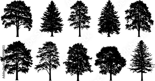 tree silhouettes on white background volume 1
