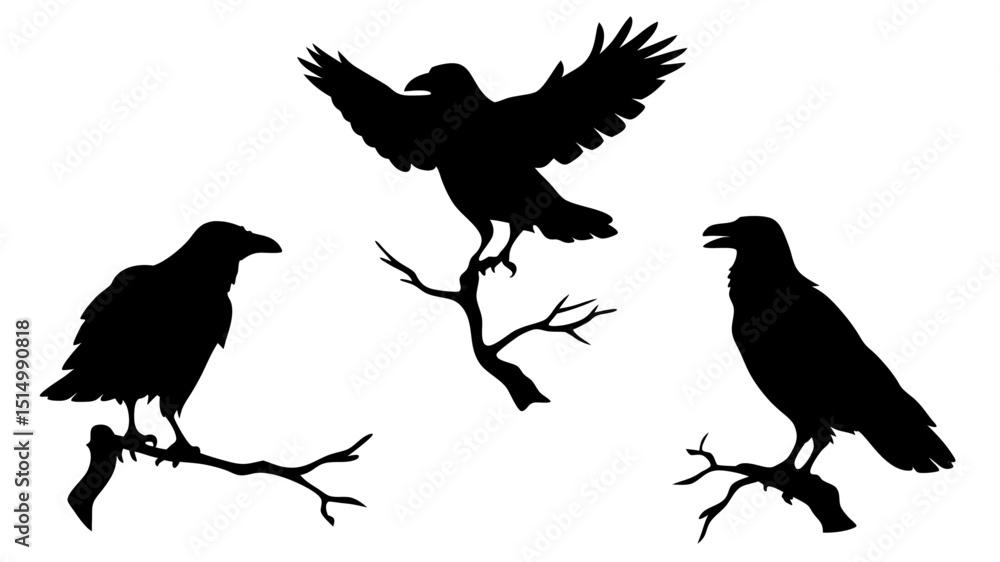Fototapeta premium set of raven sitting on branch silhouette