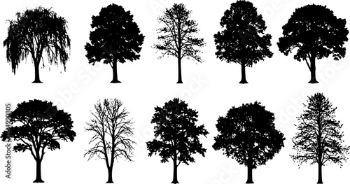 tree silhouettes on white background volume 1
