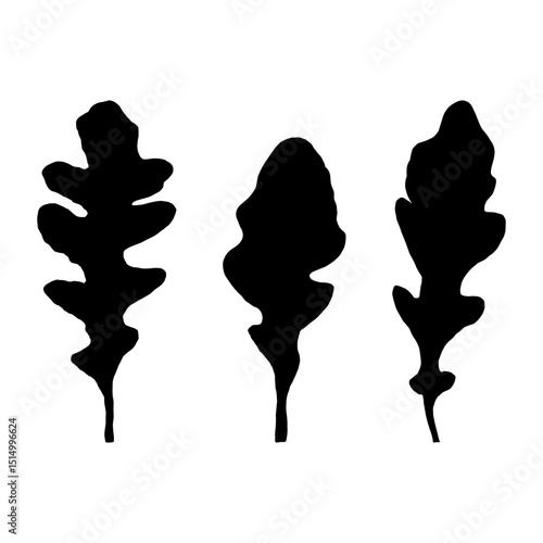Minimalist arugula silhouette. Salad rocket shapes