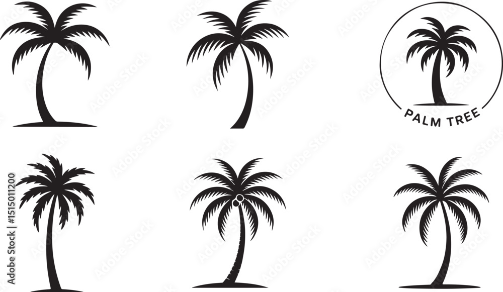 Fototapeta premium Detailed palm tree illustrations tropical set for design projects