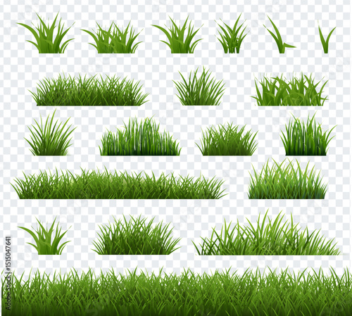 Spring Green Grass Transparent Background