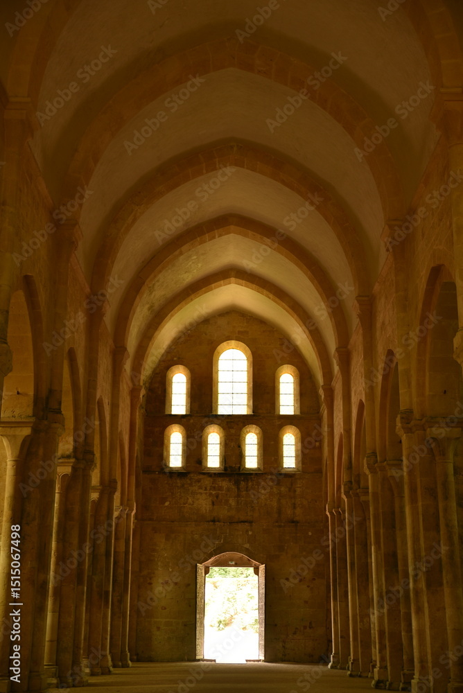Fototapeta premium Voûtes de l'abbaye de Fontenay en Bourgogne. France