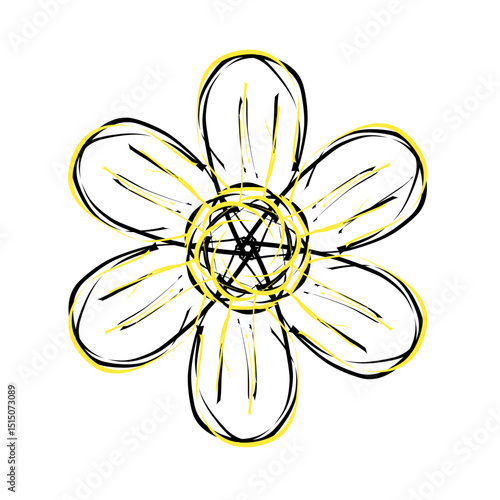 yellow flower isolated on white background
