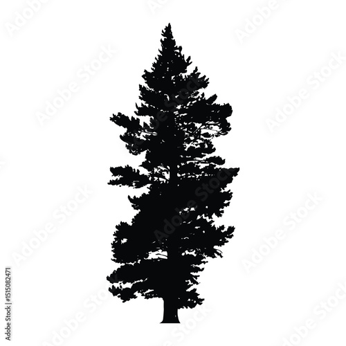 Lush pine tree silhouette forest nature