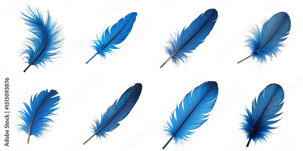 Collection of Various Blue Feathers Displayed on a transparent Background Featuring Different Shapes and Textures for Creative Design Use Collection of Various Blue Feathers Displayed on a transparent Background Featuring Different Shapes and Textures for Creative Design Use