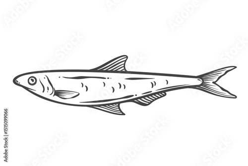 Anchovy fish outline drawing in doodle style. Saury sketch in monochrome seafood illustration for menus, recipes, and packaging. Vector illustration.