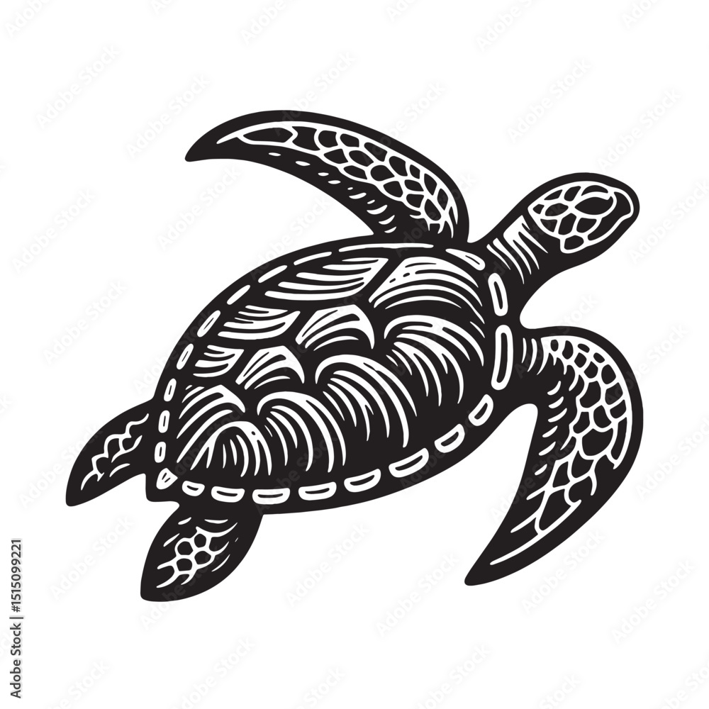 Fototapeta premium Turtle