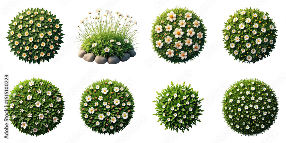 Collection of Various Greenery with Flowers Featuring Round Bushes and Flowerbeds on a Dark Background Ideal for Design and Decoration Projects Collection of Various Greenery with Flowers Featuring Round Bushes and Flowerbeds on a Dark Background Ideal for Design and Decoration Projects