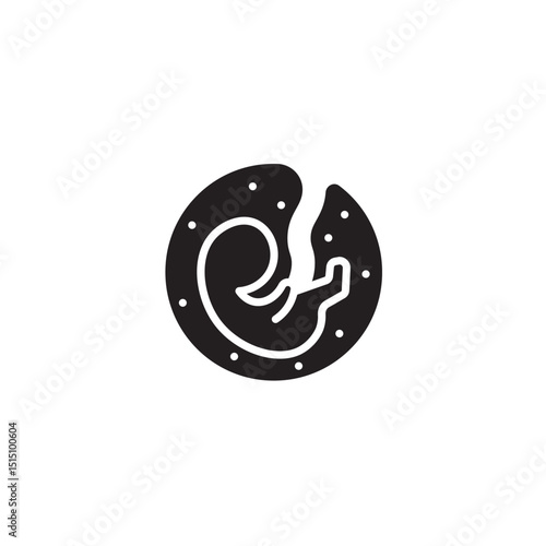 Vector illustration of human embryo development within amniotic sac in black and white