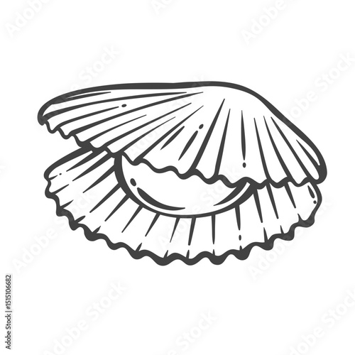 Scallop outline drawing in clean monochrome doodle style with ridged shell and visible meat. Edible mollusk seafood used in gourmet dishes and restaurant menus. Vector illustration.