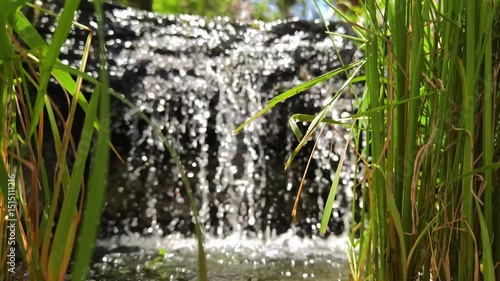 A beautiful waterfall in a garden, surrounded by lush plants