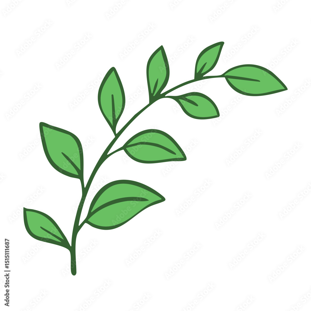 Naklejka premium Green twig of rasteria or tree. Decorative element for design and decoration of cards, invitations and flyers. Vector art illustration isolated on white background. Outline style