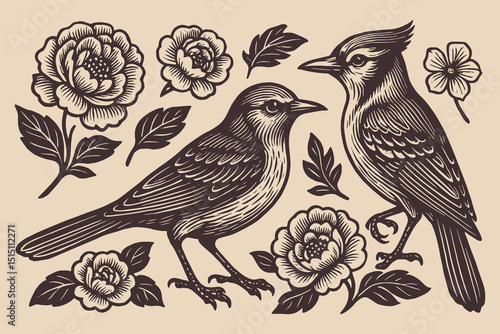 birds and flowers vintage engraving vector illustration