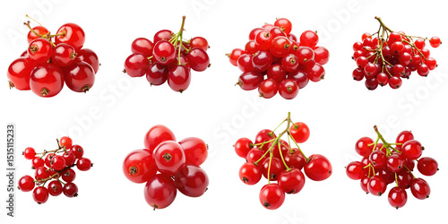Wallpaper Mural Various Clusters of Bright Red Berries on a transparent Background Showcasing Different Groupings and Perspectives of These Juicy Fruits Ideal for Illustrations and Designs Torontodigital.ca