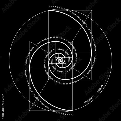 Fibonacci Sequence Spiral. Golden ratio. Geometric shapes Circles in golden proportion. Futuristic minimalist fashion design. Logo. Vector icon isolate on black background