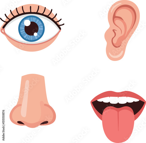 Human sensory organs eye ear nose and mouth vector illustration for anatomy education and health awareness 