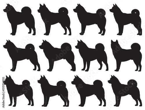 AMERICAN AKITA DOG SILHOUETTE
