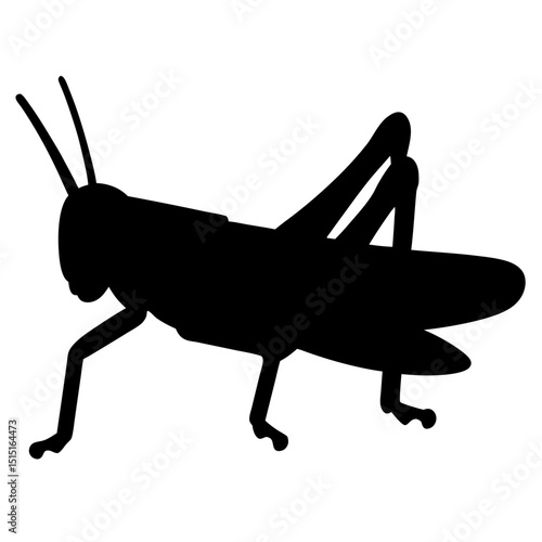 Silhouette of a Grasshopper Showing Distinct Body Sections and Leg Structure