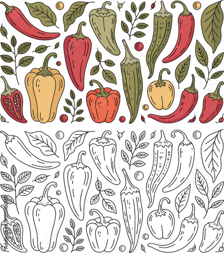 Colorful and outlined vector illustrations of various chili peppers and bell peppers.