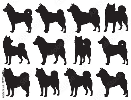 SHIBA INU SILHOUETTE
