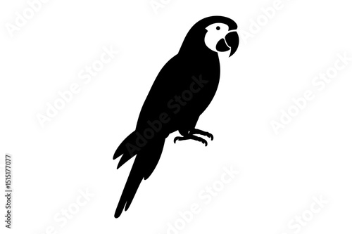 Black silhouette of a macaw parrot illustration