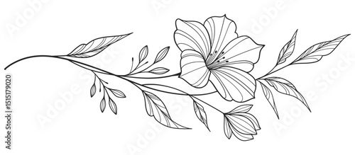Elegant minimalist modern flower  line art vector illustration on transparent background