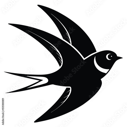 swallow vector